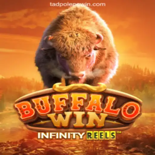 Discovering BuffaloWin: The Game That Transcends Boundaries