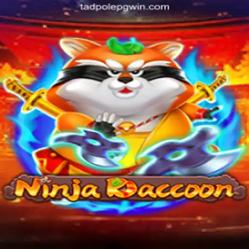 Exploring the World of NinjaRaccoon