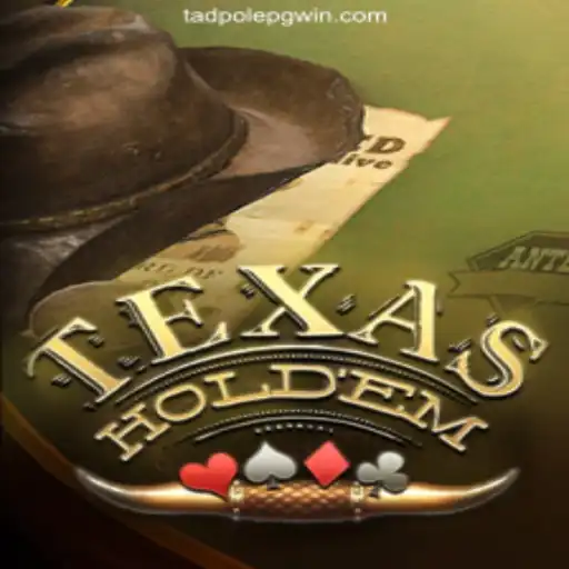 Exploring TexasHoldem: The Ultimate Guide